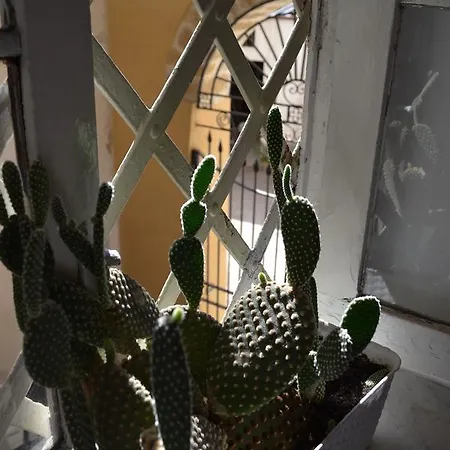 Casa Del Marinaio Апартаменты Палермо